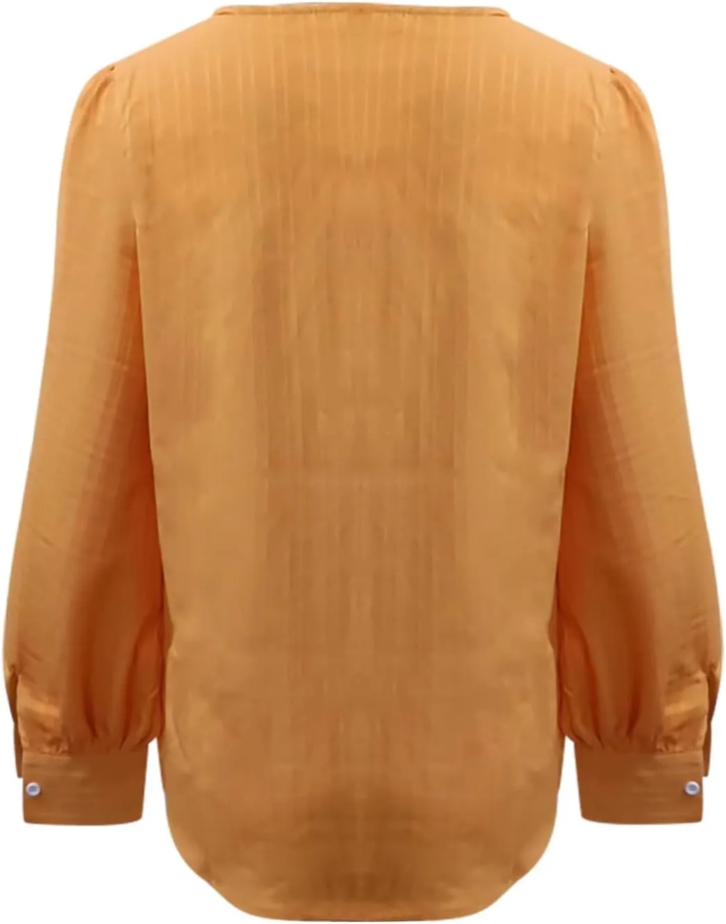 Dressy T Shirts for Women Elegant Lace Patchwork V Neck Long Sleeve Pleated Tops Office Work Going Out Party Blouse