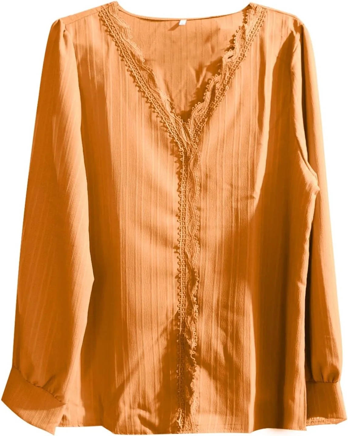Dressy T Shirts for Women Elegant Lace Patchwork V Neck Long Sleeve Pleated Tops Office Work Going Out Party Blouse