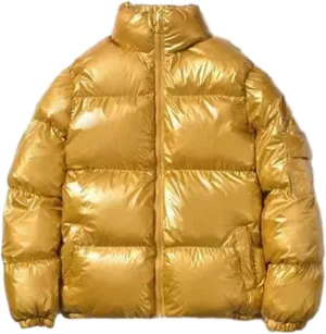 Men's Shiny Winter Jacket Heavyweight Puffer Jackets Casual Coat for Men Full Zip Windproof Stand Collar Down Jacket