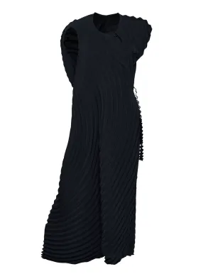 Resonant Pleats Pleated Dresse