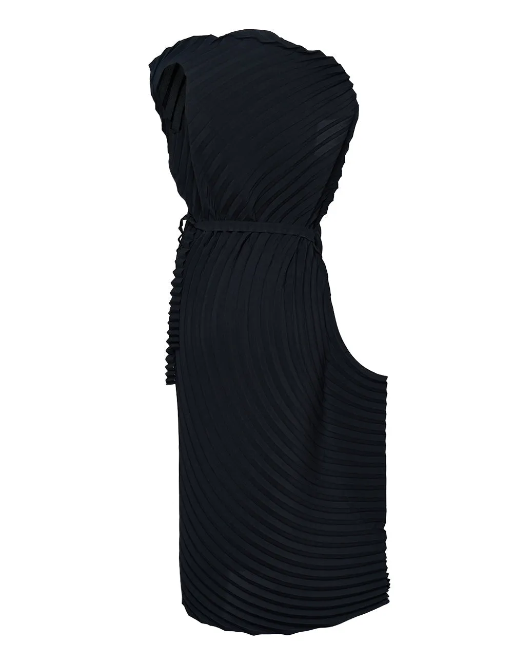 Resonant Pleats Pleated Dresse
