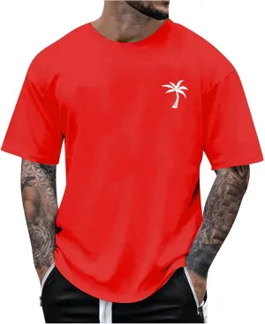 Shirts for Men Crew Neck Casual Breathable Athletic Regular Fit Outdoor Tees True Comfort Trendy Tops
