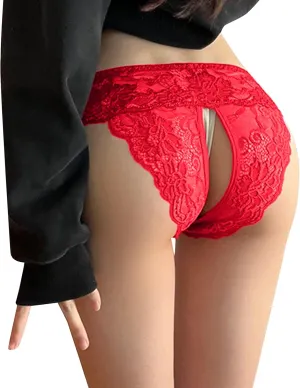 Women's Floral Lace Brief Underwear Breathable High Leg High Waist Stretch Cute Bikini Brief Panties